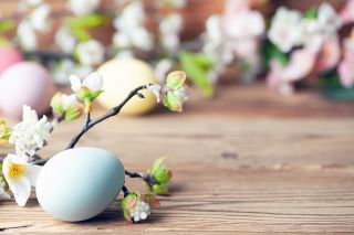 Foto: Osterei und Palmzweig